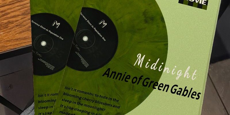 Vinyl record book style shockproof iPad case