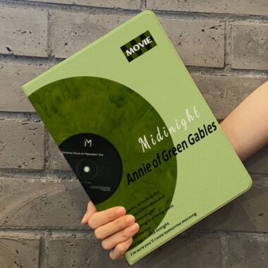 Vinyl record book style shockproof iPad case